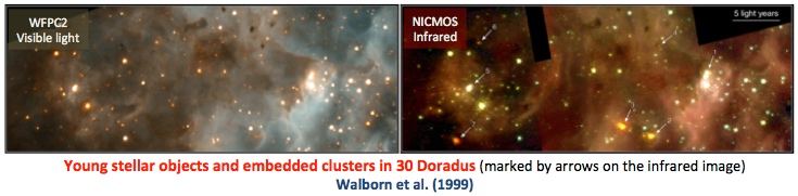 Embedded triggered star formation in 30 Doradus