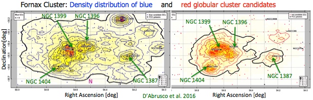 The distribution of red and blue globular clusters in the Fornax
galaxy cluster (D'Abrusco et al. 2016)